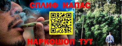 jwh Новозыбков