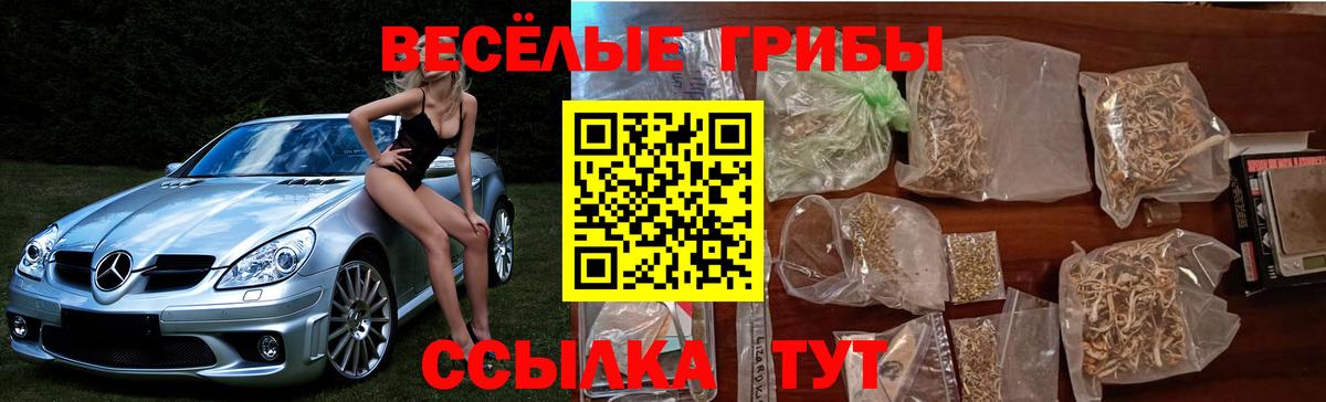Псилоцибиновые грибы MAGIC MUSHROOMS  Галлюциногенные грибы мицелий  Тосно  Вход с VPN 